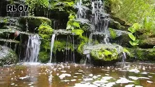 سورة نوح - 71 -  القرأن الكريم - Surat Nouh -  Quran RL07