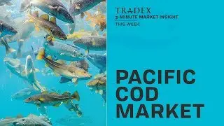 3MMI - Cod Shortages, Poor Fishing, Possible China Production Shortages