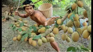 Find fish in the river coincidentally encountered Rich Sapodilla in the river