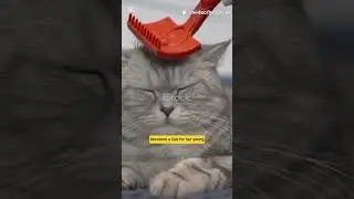 Mother Cat vs World &ndash; Kitten Survival Instincts