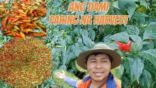 KAHIT matanda na may ibibigay paring pera