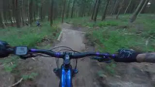 Trek Rail 5