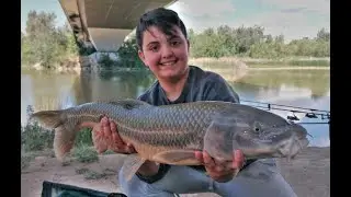 Un gran misil en el Guadalquivir.