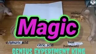 science experiment acid and base check by 👉hibiscus indicator (flower) #youtubeknowledges #viral