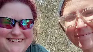 Life in Review 2025