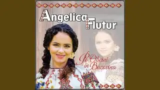Jocu’ lu’ badea Cocârță