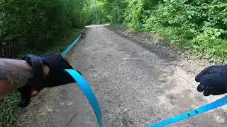 Mantrailing Training; Karina & Holmes am 20. Mai 2019 im Wildpark Ernstbrunn