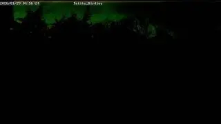Live Stream Test Y18