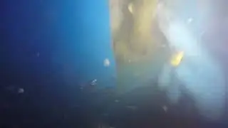 Sorry Boat That 42' Hunter Sailboat 10 14 25  Hull Cleaning 2of3