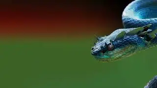 Yotto   Is This Trance  Official Audio Odd One Out