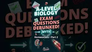 Биология уровня A: Развенчание мифов о гомеостазе 2