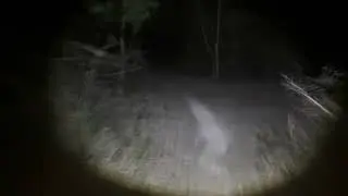 Spooky night ride Polygon Colossus N8E #mtb 