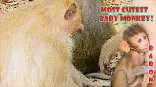 How Cute Baby Baron Make His Elder Sister Bridget Fall In Low Baby Baron !Mom Briana Love Baron