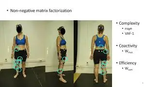 Talk: The effects of cognitive and mechanical restrictions on modular neuromuscular control in youn&hellip;