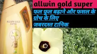 Allwin gold super! allwin gold super price ! Allwin gold