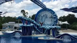 Show Dolphin Theater - Sea World Orlando 2016