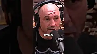 Rogan On Traditional Martial Arts #mma