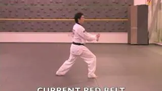 Tae geuk 7   Chil Jahng