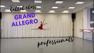 Grand Allegro - Centre - Professionals - Left