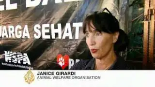 Bali battles rabies epidemic