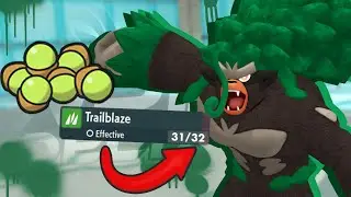 CAN TRAILBLAZE GRASSY SEED RILLABOOM SWEEP?! | WPF Week 9