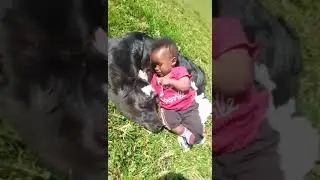 See how the calf is taking care of cutest baby.