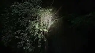 [Live] Kaki Satu di Setra Delodan Keramas Gianyar | Go Rangers Channel