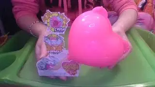 Unboxing A Secret Crush Pets
