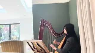 Happy Bear and Bee - Lever Harp, 