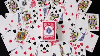 Bicycle Gaff Deck