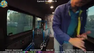 Mobile dog gym - Live stream
