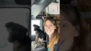 Retour dans le Gard #campingcar #vanlifefrance #vanlife #chien