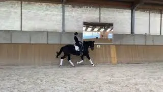Bakarta D