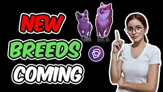 Dogami Alpha Series 2 | PASSIVE INCOME 2022