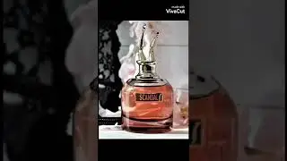 Scandal Jean Paul Gaultier is one of the best perfumes#fragrance #newyork #new #usa #jeanpaul