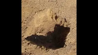 Pocetak kopanja septicke jame/U Trecem Licu+komentatori