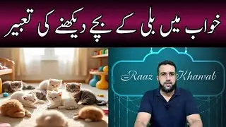 Khwab mein Billi Ke Bache Dekhne ki Tabeer || Baby Cats in Dream Meaning || Raaz e Khawab || Urdu