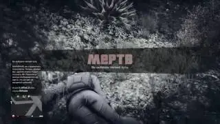 Roma Volkov Exposed- PRUFI RRRIIIPPP