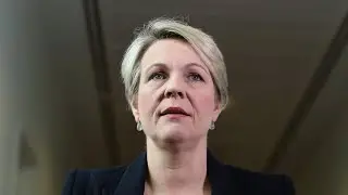 'Global warming multiplies environmental pressures everywhere': Tanya Plibersek