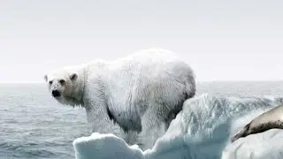 Insight into China's expanding role in Arctic affairs