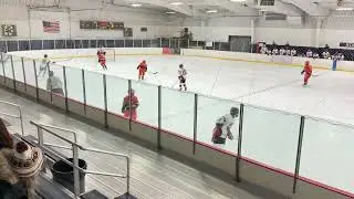 Jr. Ducks vs Chicago Reapers (2-6) 1/17/2026 13:35pm - 1st period 