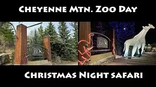 Cheyenne Mountain Zoo   Day Tour and Christmas Lights Safari  -  Colorado Springs 2023