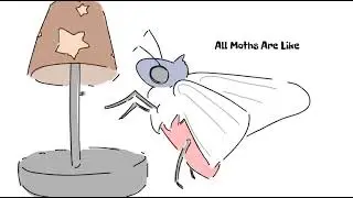 Toby Obytay - All Moths Are Like