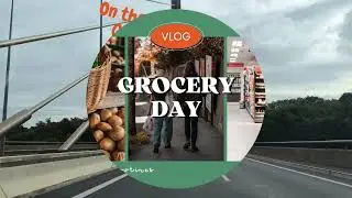 Desi Grocery Day#Life in Europe#europe #shopping