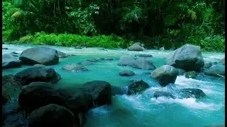 Beautiful Relaxing River  Nature Sounds Sleep Meditation Study Stress Relief Mindfulness