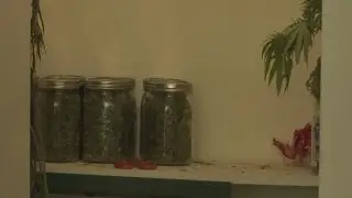 Implementation of marijuana measures