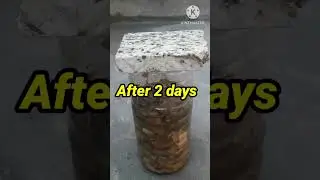 Make easy and free Organic liquid fertilizer from kitchen wastes #shorts