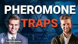 Pheromone Traps for Insects 🎙️ Talking Pest Management with Tom Mueller