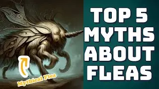 Flea Facts: Top 5 Myths Debunked