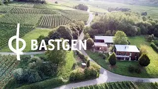 Mosel Weinregion - Weingut Bastgen - Bio Wein - Deutscher Riesling